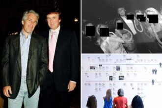 Jeffrey Epstein was obsessed with trying to take down Trump before suicide, report says