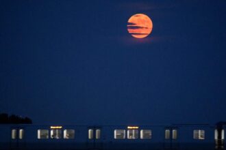 June’s Strawberry Moon Is the Final Micro Moon of 2026: Here’s How to See It