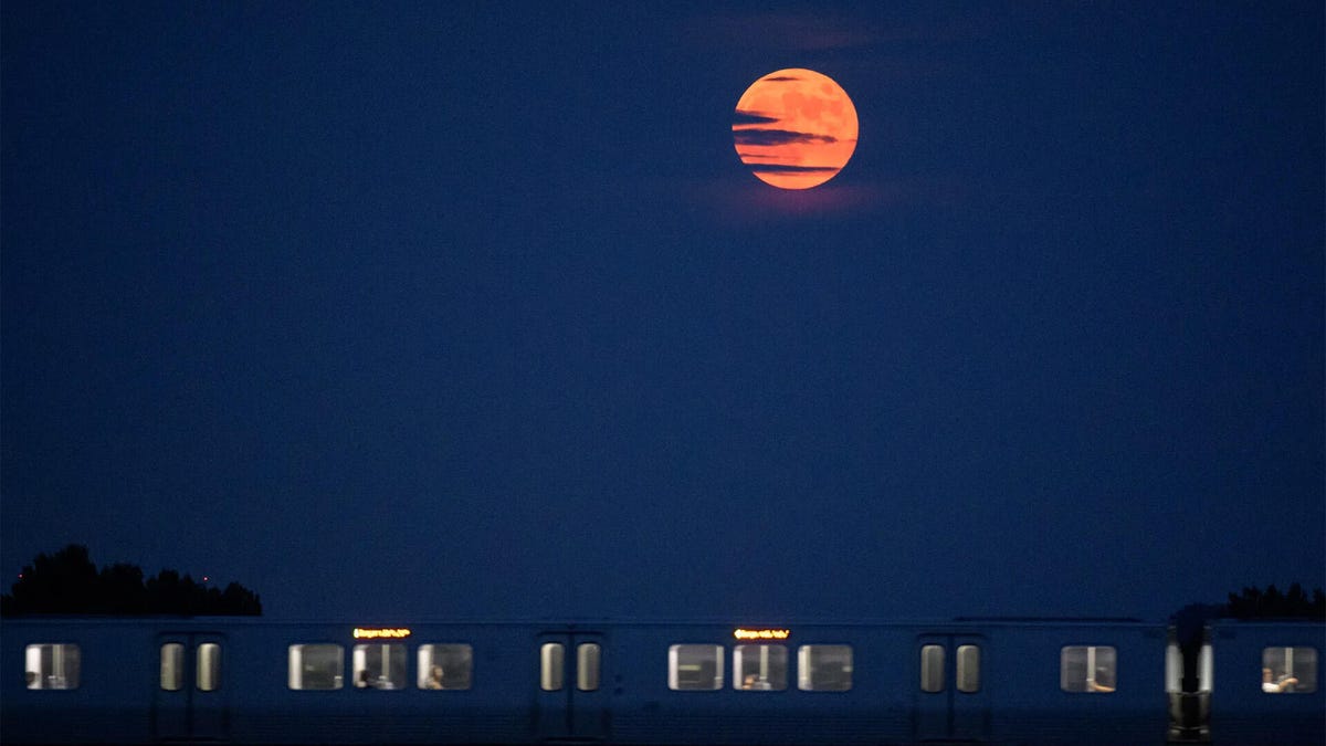 June’s Strawberry Moon Is the Final Micro Moon of 2026: Here’s How to See It