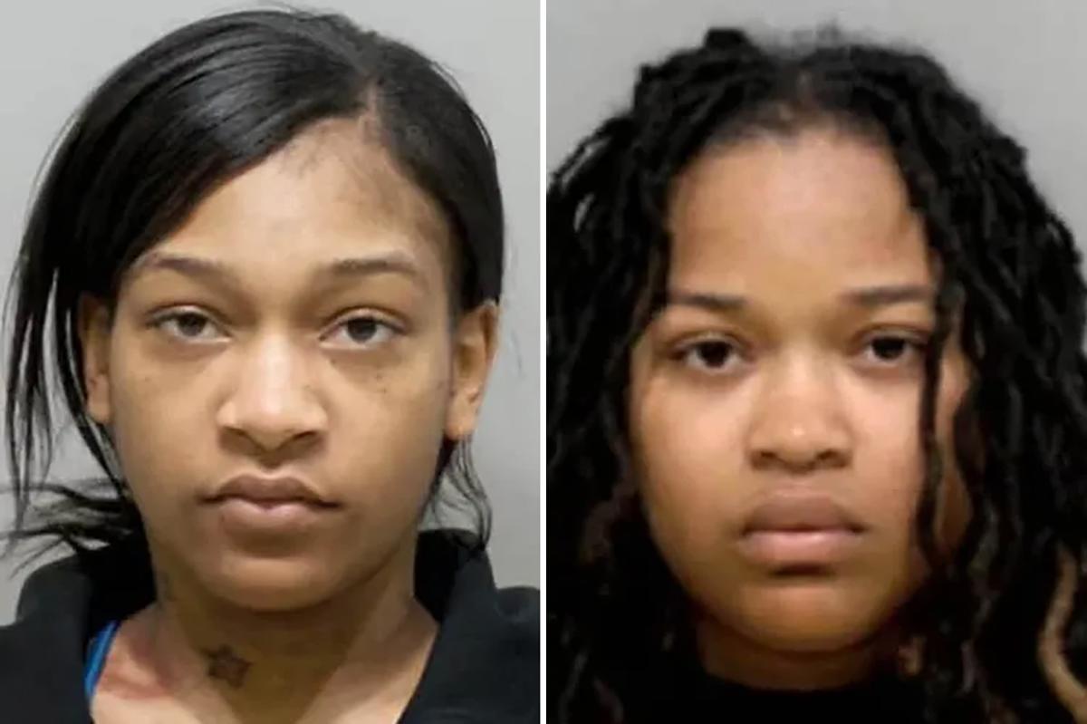 Sisters, including one 9 months pregnant, allegedly stabbed and hurled hot oil at Detroit restaurant worker over wrong order