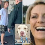 Pit bulls who mauled Florida woman to death attacked another neighbor weeks earlier: court docs