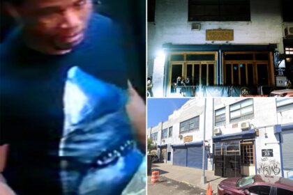 Gunman in shark T-shirt shoots up hip NYC club, wounding 2: cops