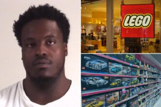 Texas bandit who swiped over 200 Lego sets in 50-day crime spree gets decades behind bars