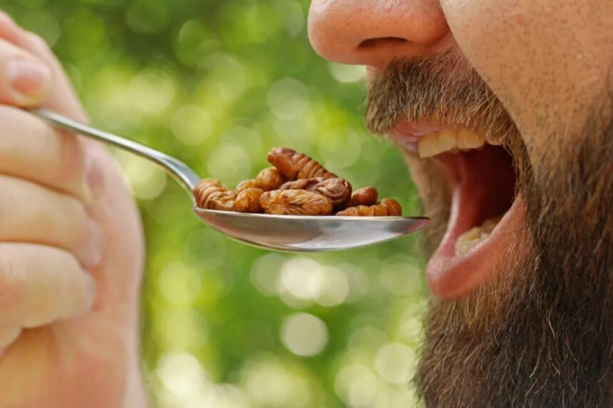 Eating insect-based foods may be easier to stomach than consumers expect, researchers claim