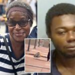 Trump administration launches federal investigation into Atlanta’s MARTA system after fatal train stabbing