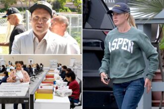 Spencer Pratt sums up LA’s glacial vote count in a single image