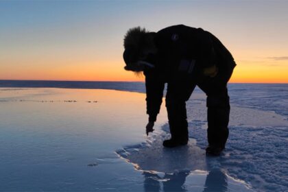 Ice, Ice, Maybe? Scientists Are Trying to Regrow Ice in the Arctic With Simple Tech