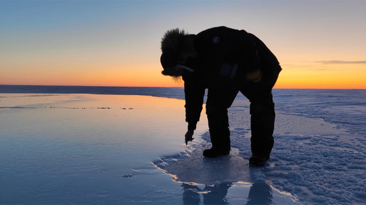 Ice, Ice, Maybe? Scientists Are Trying to Regrow Ice in the Arctic With Simple Tech