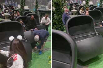 Behind the scenes look at iconic Disney ride unveiled as it malfunctions, lights turned on
