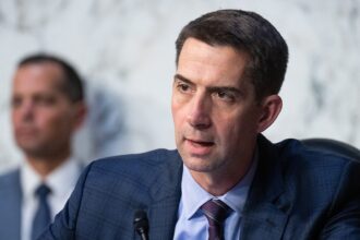 Sen Tom Cotton urges DOJ to probe Chinese bid to ‘kneecap’ American AI