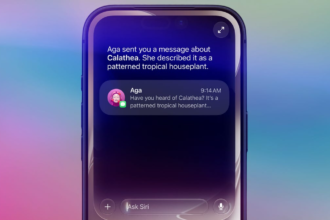 Your iPhone 11 Will Run iOS 27, but It Won’t Run Siri AI