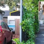 Portland couple sues neighbor for 0K over foul stench wafting from tiny home so pungent they need to wear gas masks