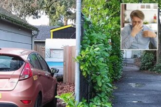 Portland couple sues neighbor for 0K over foul stench wafting from tiny home so pungent they need to wear gas masks