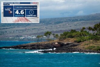 Magnitude 4.6 earthquake strikes off coast of Hawaii’s Big Island