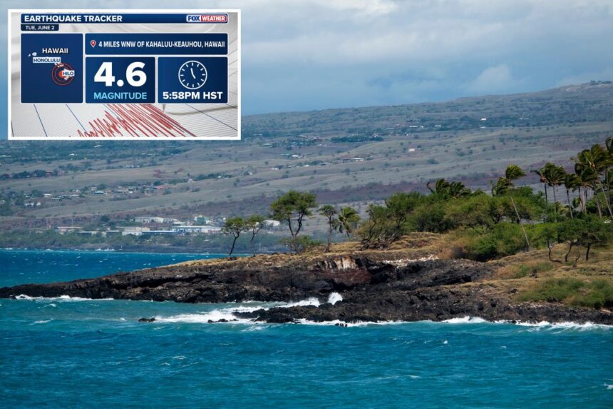 Magnitude 4.6 earthquake strikes off coast of Hawaii’s Big Island