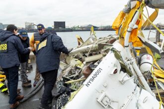Geese flock blamed for Siemens CEO family crash in New York