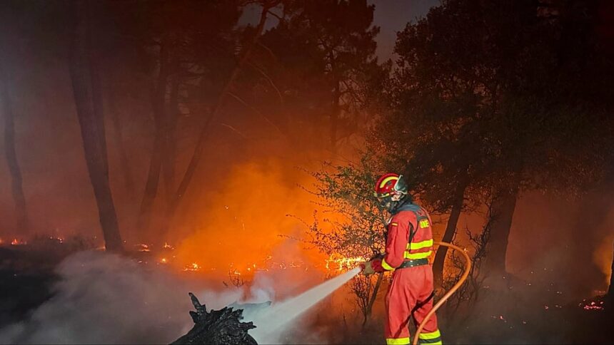 Aragón ablaze: Zaragoza wildfire scorches 12,000 hectares