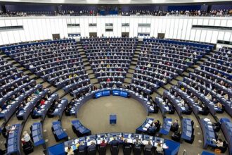 EU Parliament triggers procedure to ban AfD’s EU Party