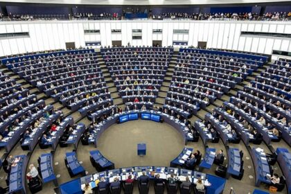 EU Parliament triggers procedure to ban AfD’s EU Party