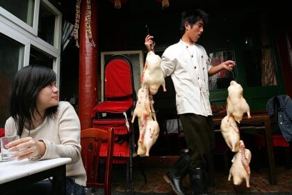 EU to probe Chinese Pekin duck imports as market-flooding row hots up