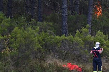 EU wildfire strategy falls short as Europe burns