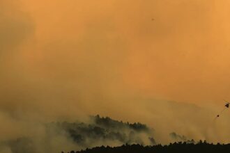 Wildfires rage across parts of France, Spain and Italy