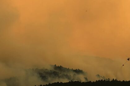 Wildfires rage across parts of France, Spain and Italy