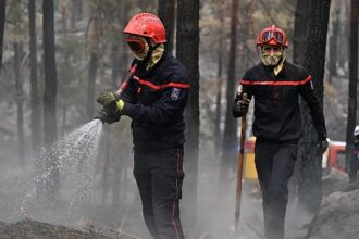 France suffers record wildfire destruction by mid-July
