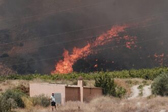 Majority of 12 victims of Spain wildfires believed to be foreigners