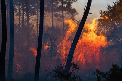 Southern Europe continues to battle growing wildfires