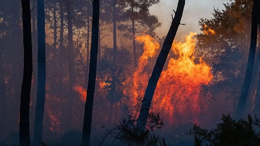 Southern Europe continues to battle growing wildfires