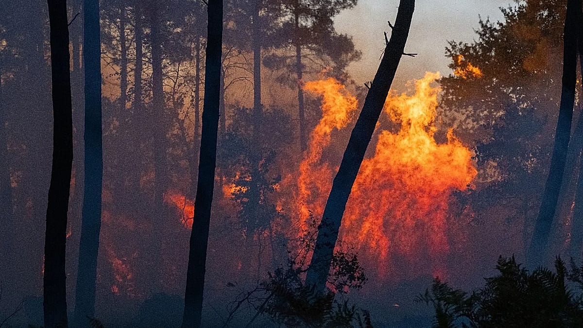 Southern Europe continues to battle growing wildfires