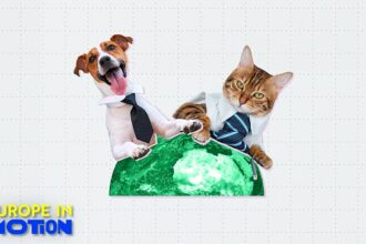 Pets at work: Yes or no? Here are Europe’s most pet-friendly countries
