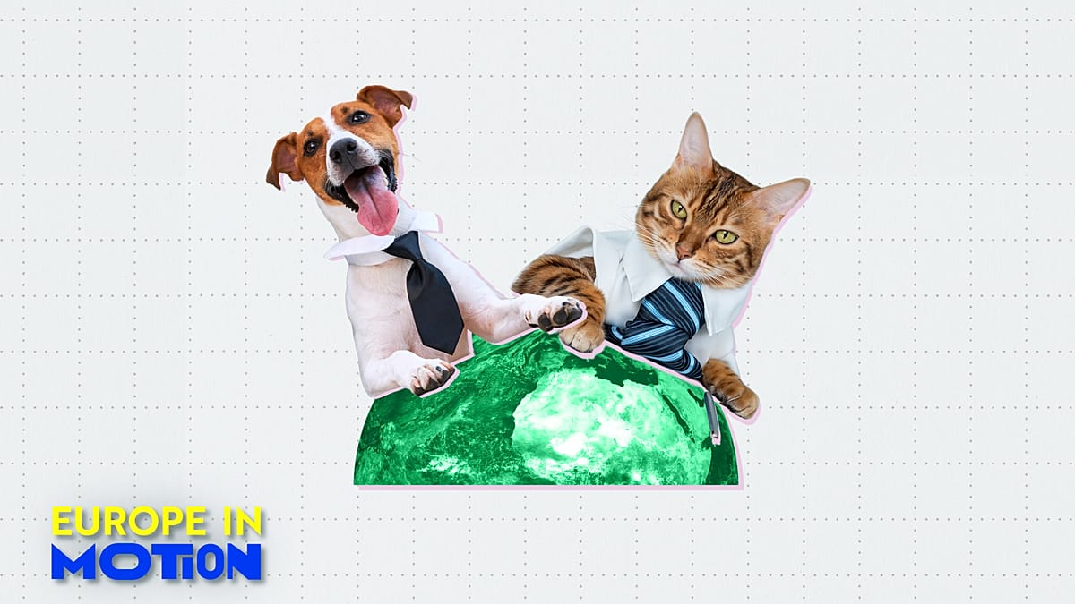 Pets at work: Yes or no? Here are Europe’s most pet-friendly countries