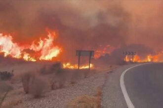 12 people killed as wildfires tear through southern Spain