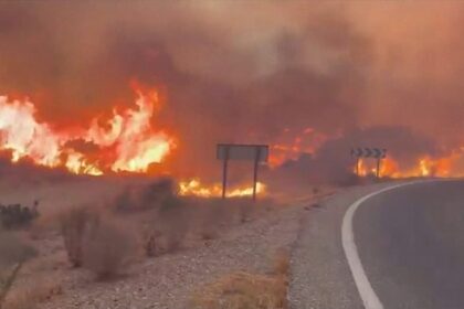 12 people killed as wildfires tear through southern Spain