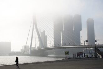 Two trams collide on Rotterdam’s Erasmus Bridge, injuring 15