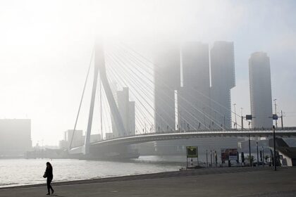 Two trams collide on Rotterdam’s Erasmus Bridge, injuring 15
