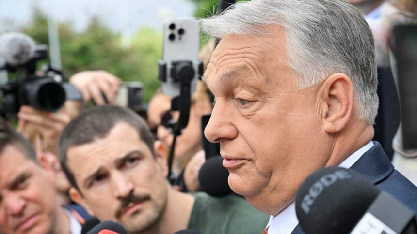 Hungary probe: no evidence of rule-of-law breach, say experts