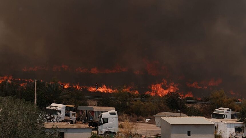 Wildfires in Spain: Zaragoza blaze destroys 15,400 hectares