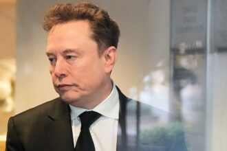 ‘Marine Le Pen is France’s last hope’, says Musk