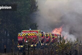 Heat, drought, fire: Europe needs to restore wetlands and rivers