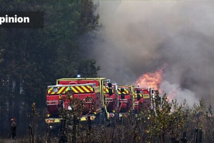 Heat, drought, fire: Europe needs to restore wetlands and rivers