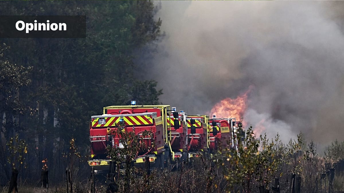 Heat, drought, fire: Europe needs to restore wetlands and rivers
