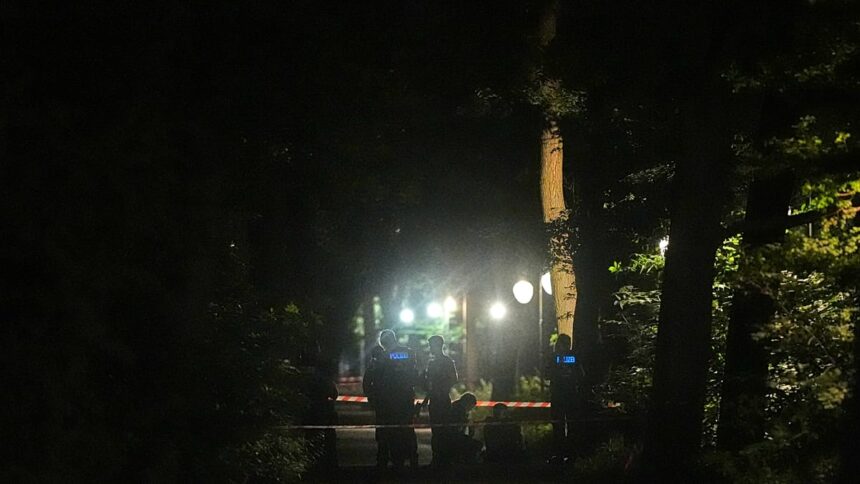 Car rams crowd at Berlin Pride event, killing one and injuring 16
