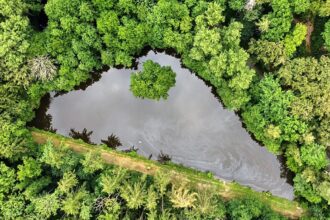 From AI to greenlash: How is climate disinformation evolving?