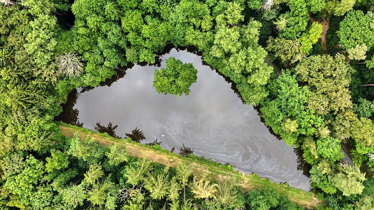 From AI to greenlash: How is climate disinformation evolving?