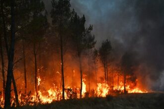 Thousands evacuated as heatwave related fires grip France and Spain