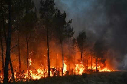 Thousands evacuated as heatwave related fires grip France and Spain