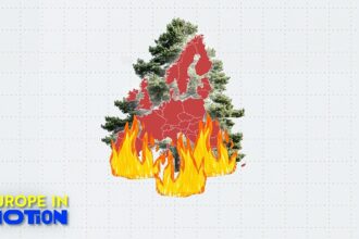 Wildfires: Burned area across Europe reaches size of Luxembourg